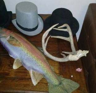 top hat fish and antlers